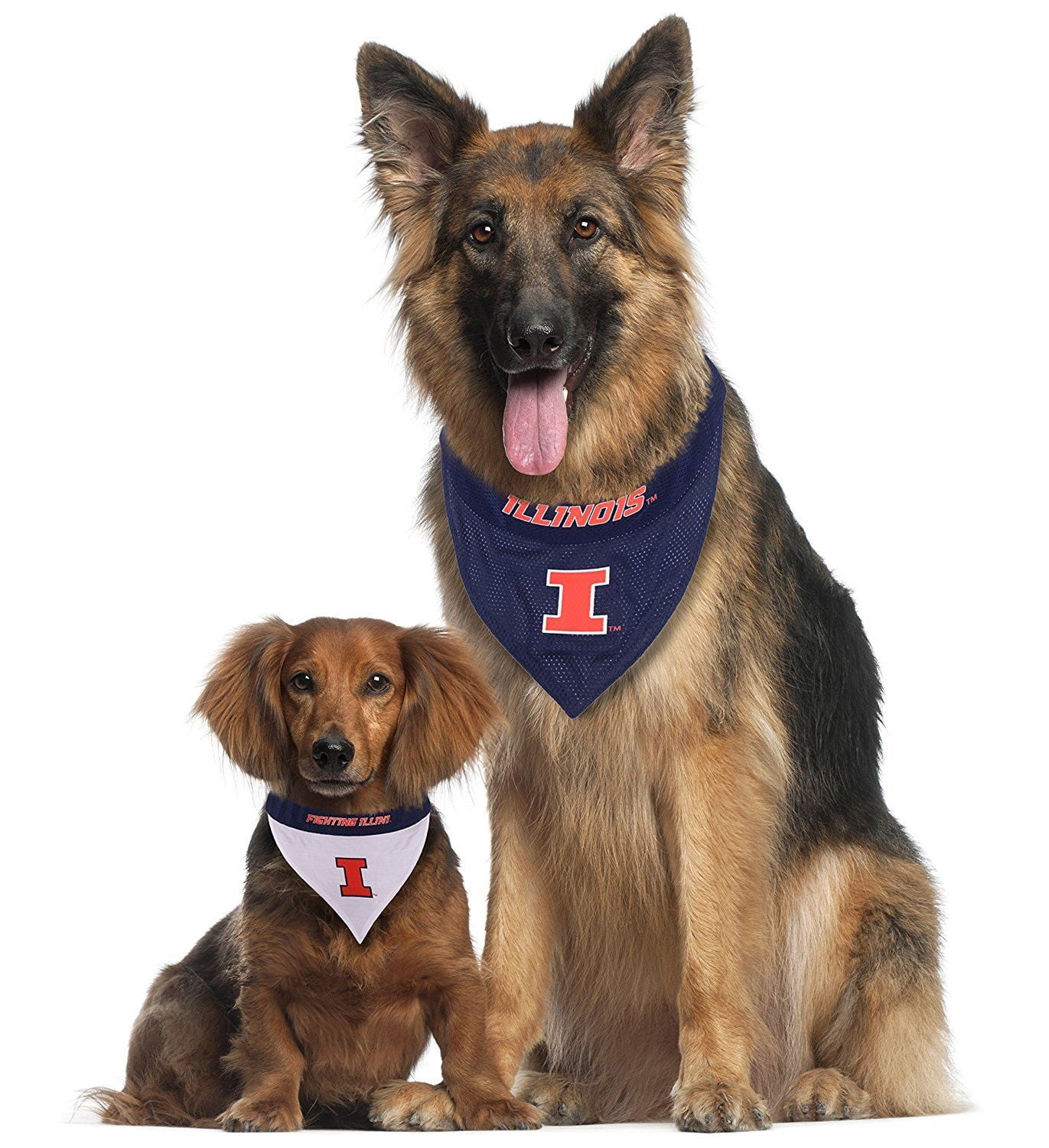 Pets First Collegiate Illinois Fighting Illini Reversible Bandana - Home & Away Mesh & Premium Embroidery for DOGS & CATS