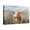 Canvas, variant on Art.com Big Sky Longhorn Sunset Art Print by Danhui Nai, 18" x 12"