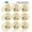Clear, variant on I Love My Goldendoodle 1" Planner Calendar Scrapbooking Crafting Opaque Stickers