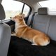 thumbnail image 4 of Manta Suave de Fibra Larga para Mascotas (Perros y Gatos): Ropa de Cama Transpirable, Peluda y Acogedora para Usar En La Perrera, El Sofá o El Coche. Alfombrilla de Descanso de Tela Sintética para La, 4 of 6