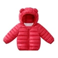 thumbnail image 5 of Warm Boys Outdoor Windproof Jacket Thick Toddler Coat Ideal for Active Kids, 5 of 6