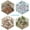 1, variant on Hanmun DIY 4 Sets 3d Sticker Scene Make Your Own for Adult Kids Relief Stress Pass The Time