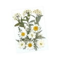 thumbnail image 4 of Flores prensadas secas, manualidades DIY para álbumes de recortes, Kits de hojas secas para decoración de uñas, manualidades, marcapáginas, pantallas Blanco, 4 of 8