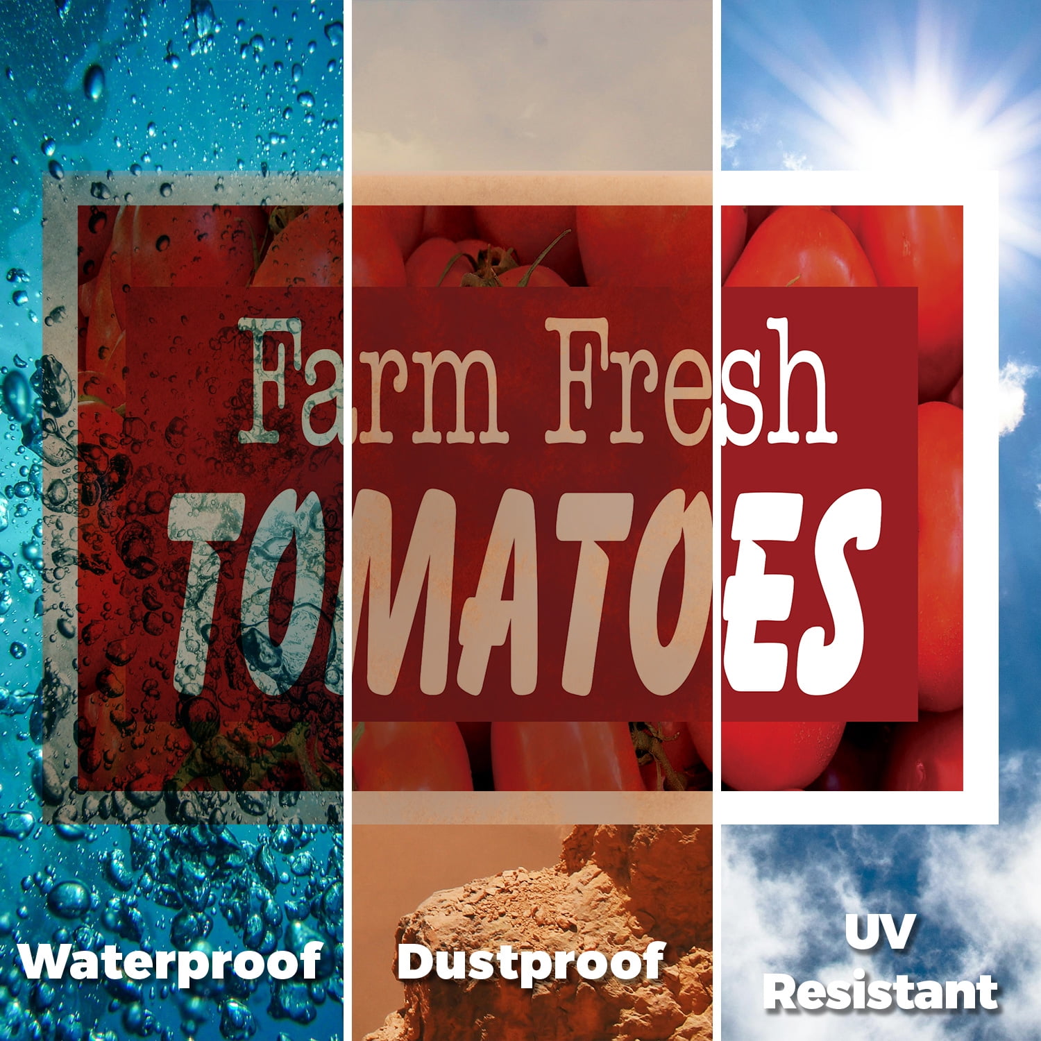 Farm Fresh Tomatoes Yard Sign 12 Inch x 16 Inch Single Sided Weatherproof Heavy-Duty Plastic with Stake | Juicy Vegetables, Local Produce, Healthy Choices | Made in USA