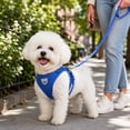 thumbnail image 3 of Breathable Mesh Dog Vest, Escape-Proof Step-in Harness with Comfortable Padding for Small Dogs and Cats, Pet Walking Vest(L,Black), 3 of 7