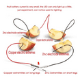 Fruit Battery Science Experiment Kit for Home Teaching Toy, Lemon