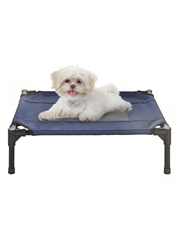 Elevated Dog Beds in Dog Beds