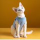thumbnail image 2 of Traje de recuperación para gatos de 3 piezas, traje de recuperación para gatitos, alternativa de cuello electrónico para gatos y perros, traje de pijama antilamer la piel abdominal, 2 of 5