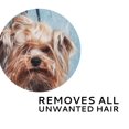 thumbnail image 2 of Wahl Dog and Cat Hair Pic-up Roller, 2 of 3