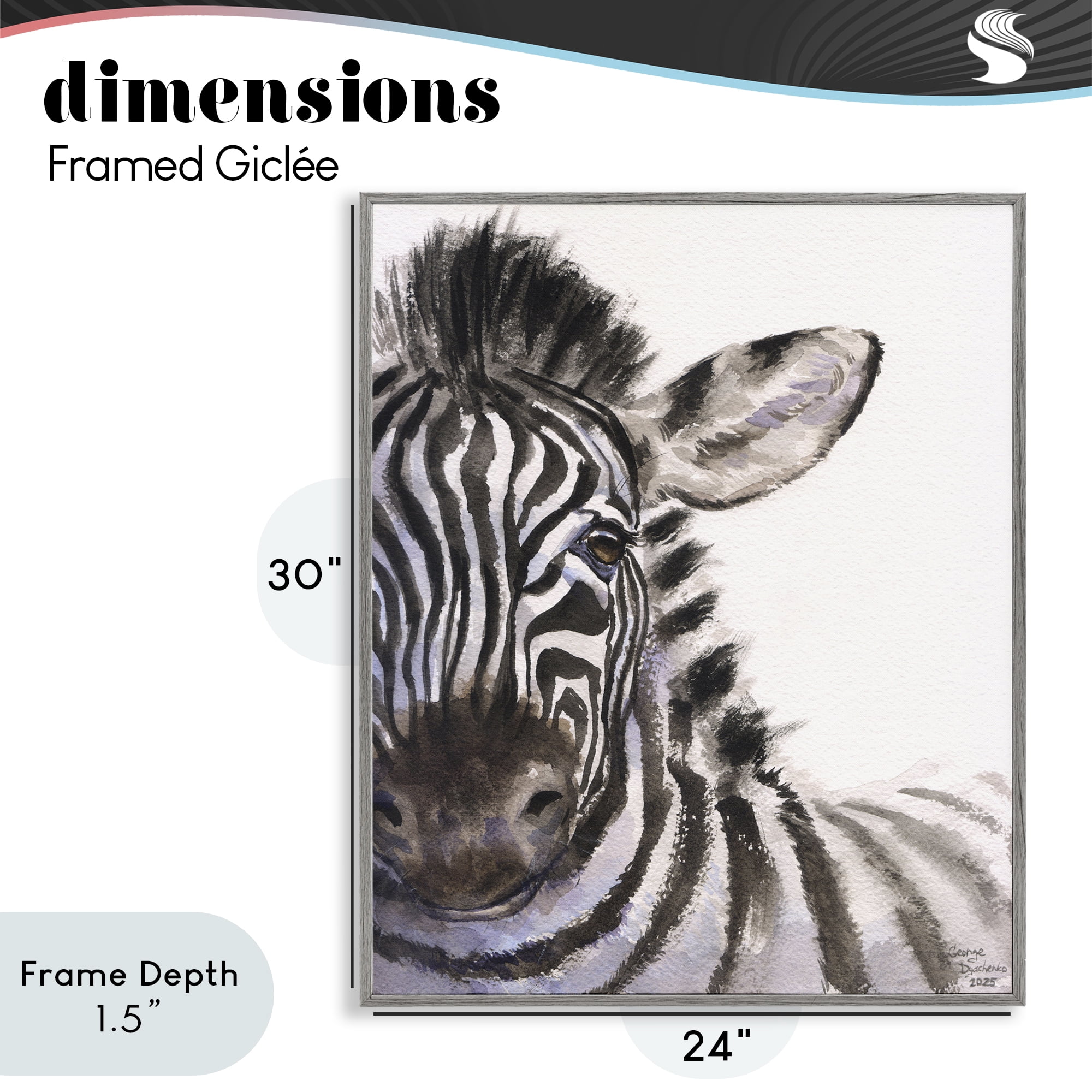 Stupell Industries Zebra Portrait on White Gray Framed Giclee Art, design by George Dyachenko