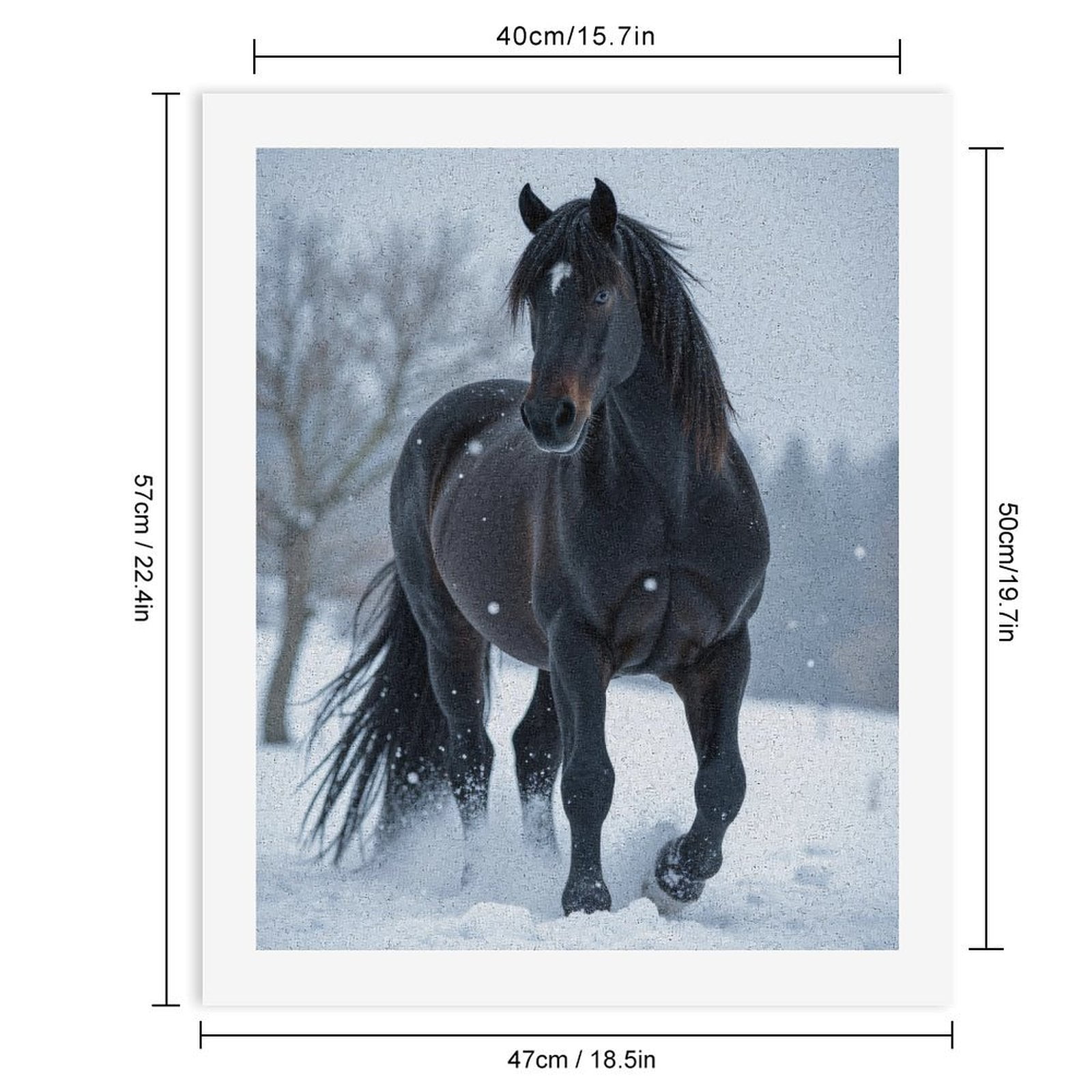 Paint by Numbers Kit for Adults, Black Horse Winter Snow Scene Paint by Numbers, Easy Paint by Numbers Kit for Adults Beginner, DIY Adult Paint by Number Kits on Canvas, Home Decor