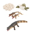 thumbnail image 2 of Miangastore 1 Set Simulation Model Eggs Toy Kid Educational Plaything, 2 of 8