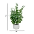 thumbnail image 5 of 2-pack 28" Faux Olive Trees in Beige Ceramic planters, 5 of 5