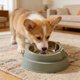 thumbnail image 4 of Elevated Pet Bowl Cats Face Feeder • Stainless Steel Raised Dish • 15° Tilt Neck Protection • Non-Slip Anti-Spill Base • Small Medium Dogs Cats Blue Green, 4 of 6
