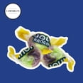 thumbnail image 2 of Jollie Ranchers 2 in 1 Grape & Green Apple Hard Candy Pack - Delicious Fruity Flavors - Individually Wrapped Mini Candies for Halloween, Thanksgiving, Birthday, Pinata, Gender Reveal & Pantry (1 lbs), 2 of 7