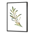 thumbnail image 3 of Designart 'Leaf Rosemary Branch on White' Traditional Framed Canvas Wall Art Print, 3 of 5