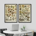 thumbnail image 3 of IDEA4WALL Framed Canvas Print Wall Art Set Mushroom Botanical Fine Art Fungus Molds Yeast Toadstools Pattern Art Farmhouse/Country Wall Decor for Living Room, Bedroom, Office - 16"x24"x2 Black, 3 of 5