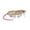 G, variant on Topwater Mouse Fishing Lures Segmented Long Cast Minnow Fake Bait for Bass Trout Saltwater Fishing Lures