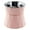 Pink, variant on Dog Bowl Raised Cat Food Water Bowls with Detachable Elevated Stand Pet Stainless Steel Feeder Bowl No-Spill Anti Slip