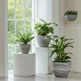 thumbnail image 6 of La Jolie Muse Flower Pots Outdoor Garden Planters, Indoor Plant Pots W/ Drainage Holes, Plastic, Marble Pattern Grey, Set 2(19 +22cm), 6 of 7