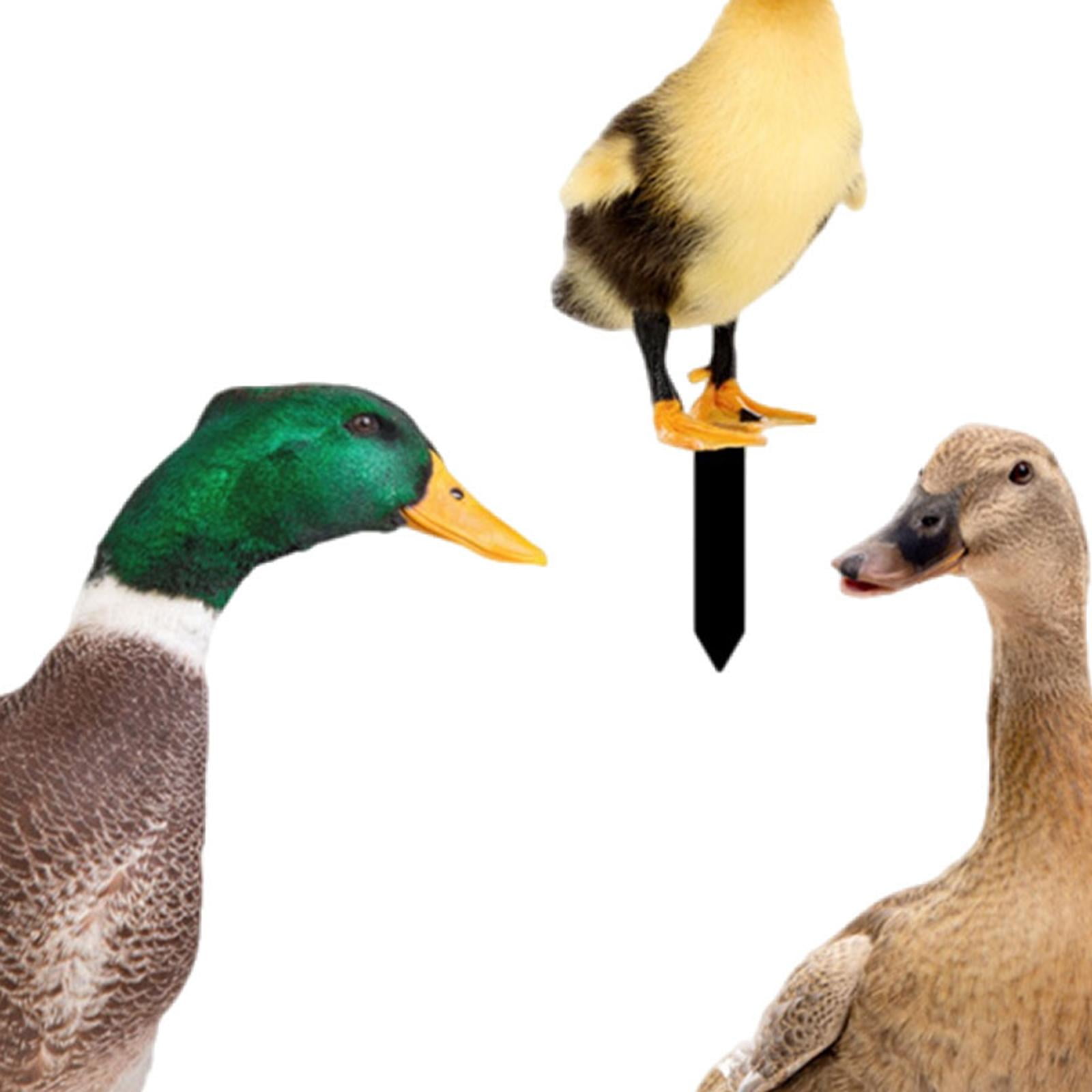 3Pcs Duck Animal Statue Stakes, Garden Stakes Decorative, Floor Decoration Ornaments, Duck Garden Statue for Porch Patio Yard Art Sculpture