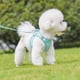 thumbnail image 5 of Arnés para perros, correa ajustable, chaleco para mascotas, arnés para cachorros, perros pequeños, gatos, malla reflectante, correa para el pecho para cachorros y gatos, accesorios para perros, 5 of 5