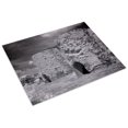 thumbnail image 3 of Print: Mcmillan Reservoir, Washington, D.C., 2010, 3 of 4