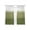 Green, variant on Yellow Ombre Sheer Curtains 54 Inch Length 2 Panels for Living Room, Modern Abstract Art Abstract Voile Kitchen Curtain Set, Luxury Privacy Drapes Window Treatment for Bedroom
