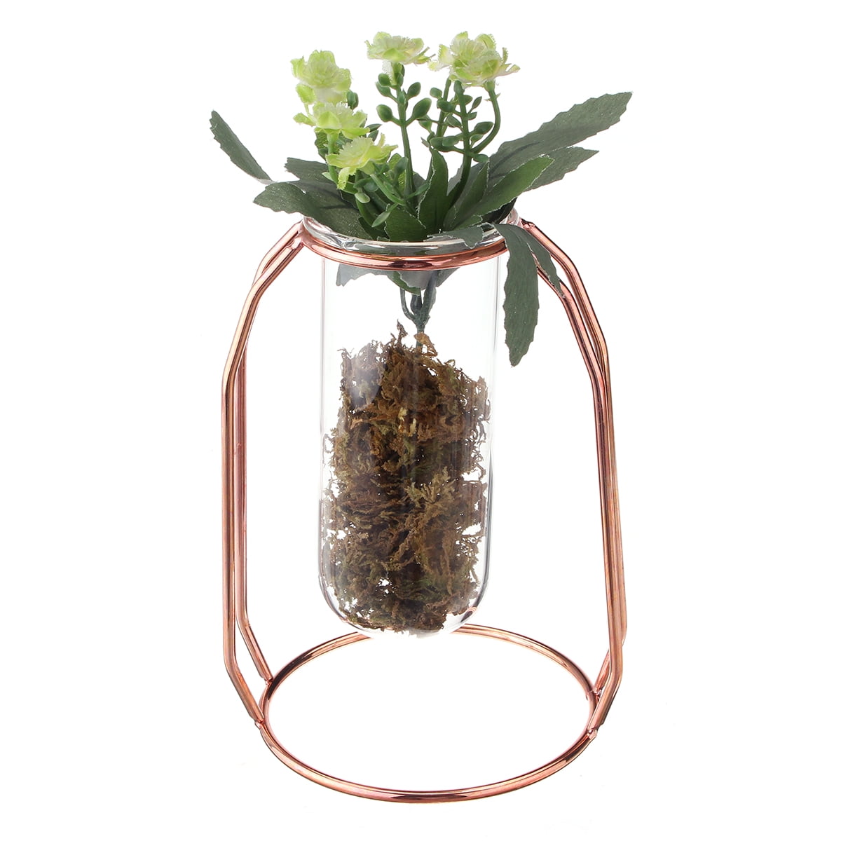 Fruit Shaped Glass Plant Flower Vase Holder Terrarium Container Home Decor Party