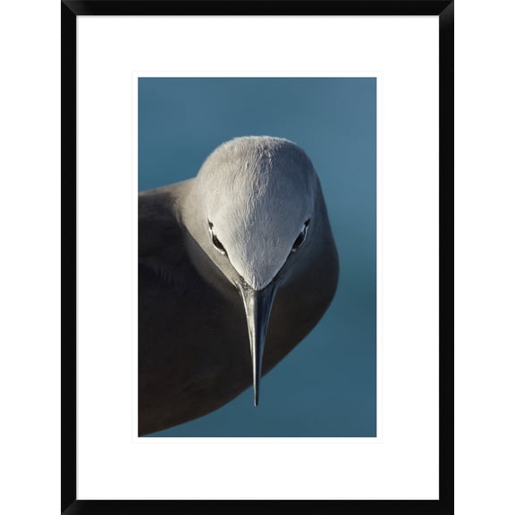 Global Gallery Mathilde Guillemot 'I Bow' Framed Wall Art