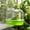 🌻Green_Base#146, variant on Bird Bath, Cage Hanging Bird Bathtub with Non Slide Bathing Pool, Spatter Guard Lid, Transparent Observation Window, Easy Clean Plastic Tub
