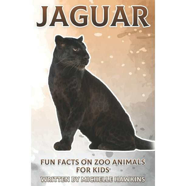 Fun Facts on Zoo Animals for Kids: Jaguar : Fun Facts on Zoo Animals for  Kids #3 (Paperback) 