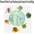 thumbnail image 4 of Filet de Protection pour Insectes de Jardin 3Mx10M Filet de Protection Fin pour Plantes, Fleurs, Fruits, Légumes, 4 of 5