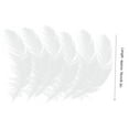 thumbnail image 7 of 300 Multicolored Feathers for Creative Crafts, Weddings & Home Decor (White), 7 of 7