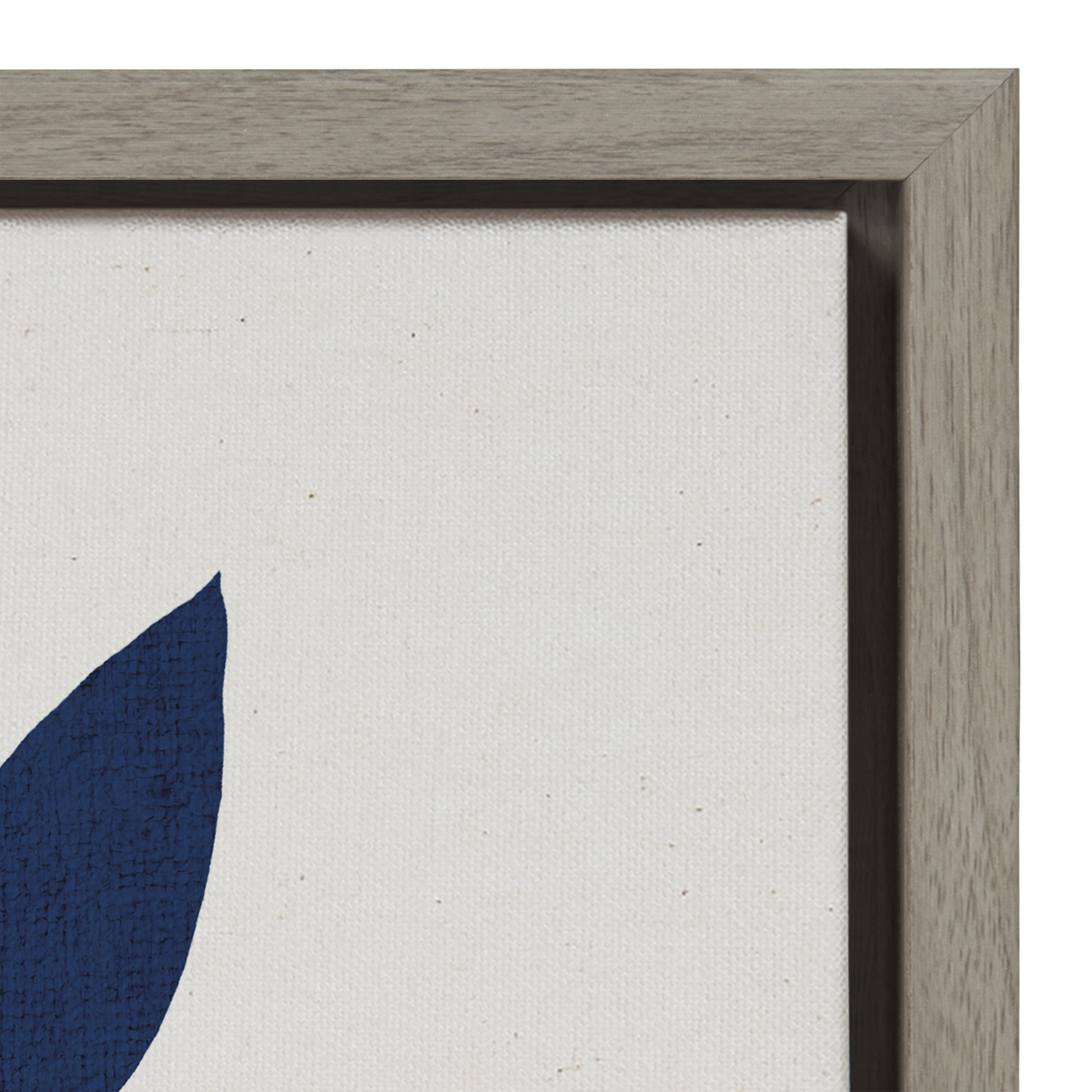 Kate and Laurel Plants Framed Canvas Art Print, 23" x 33"