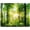 Green, variant on Scenic Forest Mouse Pad, Fresh Green Deciduous Trees Mouse Pad, Personalized Mouse Mat Square Waterproof Mouse Pad Non-Slip Rubber Base MousePads for Office Home Laptop Travel, 9.5"x7.9"x0.12" Inch