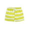 thumbnail image 6 of Gerber Baby & Toddler Boy Rashguard & Swim Trunks Set with UPF 50+, 2-Piece (0/3M - 5T), 6 of 6