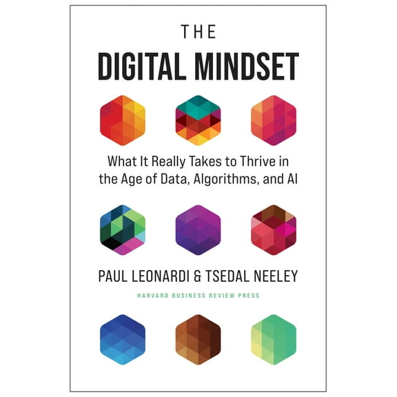 The Digital Mindset (Hardcover)