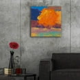 thumbnail image 5 of Epic Art 'Orange Maple' by Mike Kelly, Acrylic Glass Wall Art, 24"x24", 5 of 8