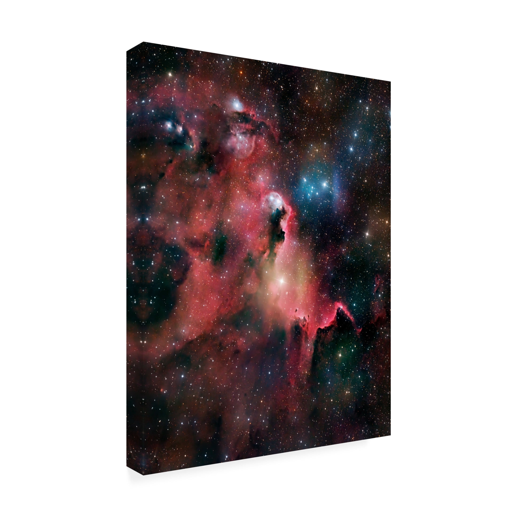 Trademark Fine Art Vikas Chander RCW 75 Canvas Wall Art