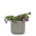 thumbnail image 3 of Abbott Collection AB-85-GRAYDON-15 5 in. Stoneware Classic Planter, Dark Grey - Medium, 3 of 3