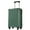 Green, variant on 20-Inch Airline Approved Carry-On Luggage, Lightweight ABS Hardshell Suitcase with Quiet Double Spinner Wheels & TSA Lock (White Brown)