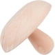 thumbnail image 1 of Herramienta de cerámica de 15 cm (6 pulgadas), herramienta de madera nudosa con mango intercambiable para modelar cuencos, platos y cerámica., 1 of 9