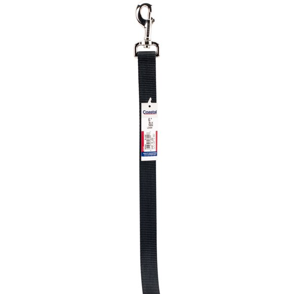 1" Single-Ply Nylon 6' Training Dog Leash-Black