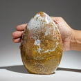 thumbnail image 5 of Polished Ocean Jasper from Madagascar (3.9 lbs), 5 of 5