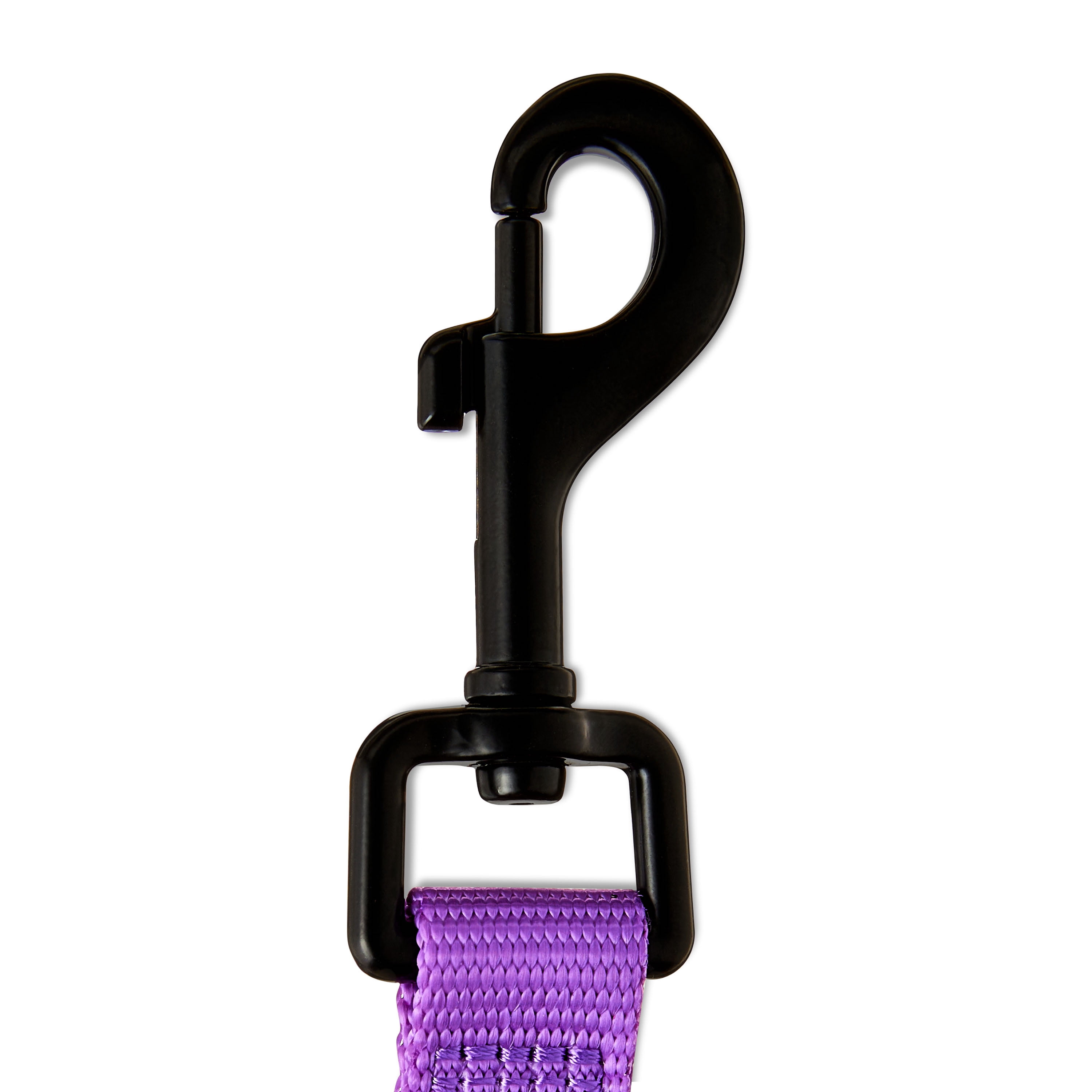 Vibrant Life 4' Polyester Standard Dog Leash, Purple
