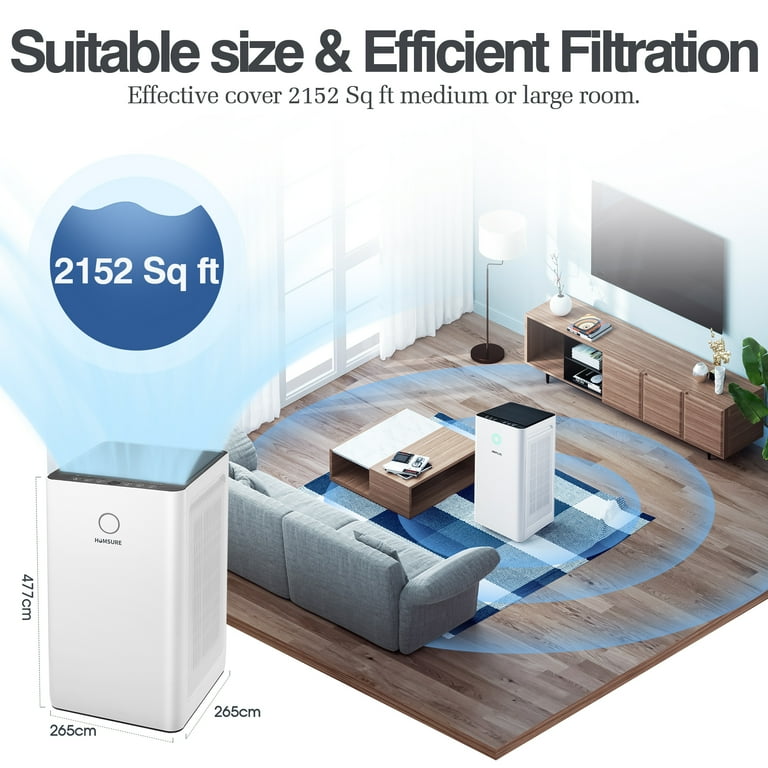 Airplus Air Purifier maestranzamb.cl
