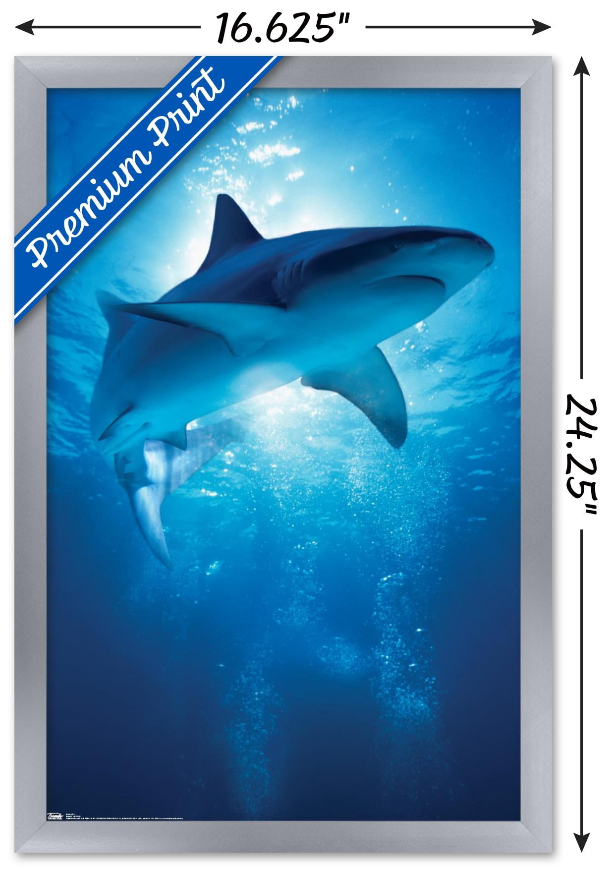 Shark - Depths Wall Poster, 14.725" x 22.375", Framed