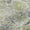 Aloe, variant on Addison Rugs Mayfield Premium Machine Washable Transitional Modern Wheat Rectangle Rug, 10' x 14'