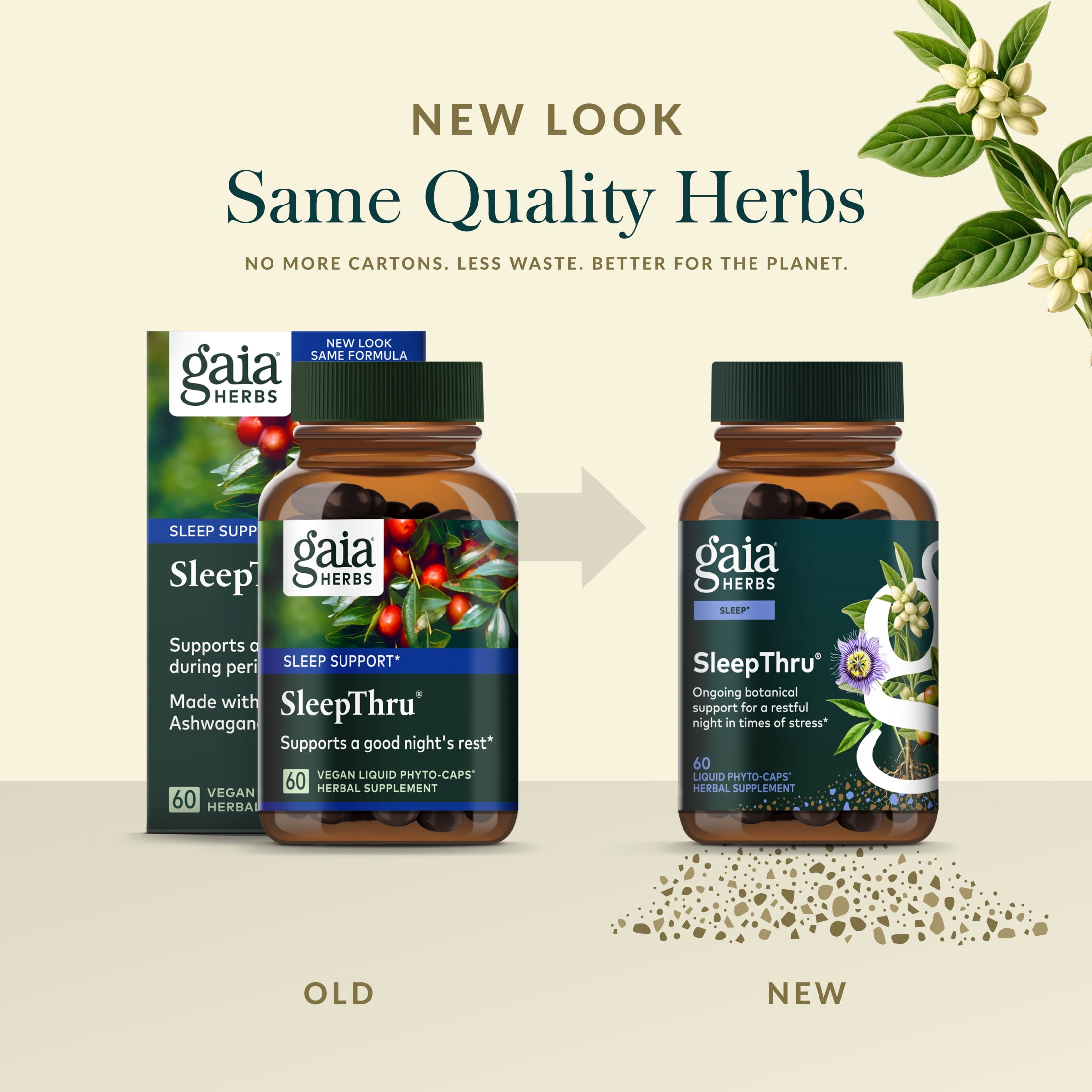phyto nutra glp 1 reviews What to know about GLP-1 supplements for weight loss Dietary polyphenols maintain human health